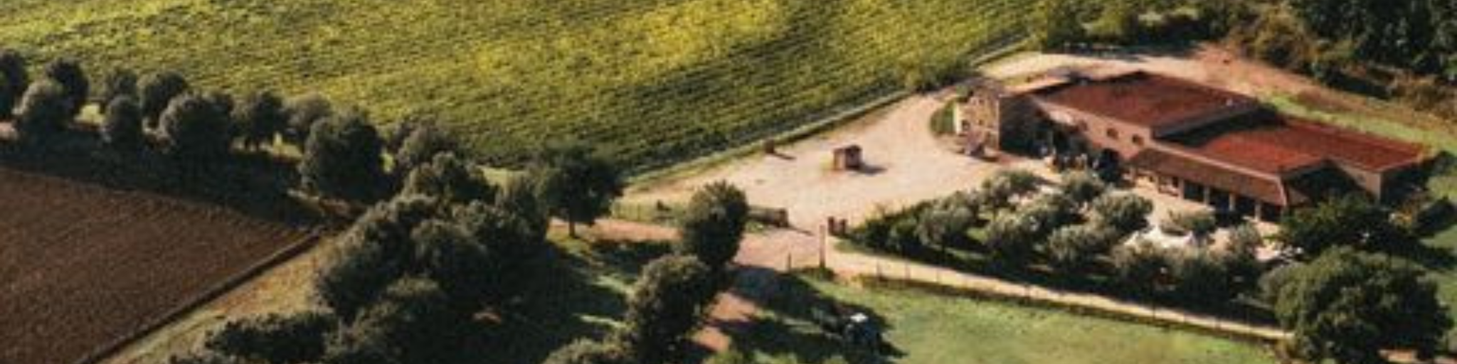 Immagine carosello dell'edificio aziendale del marchio Baldassarri con vista a volo d'uccello.