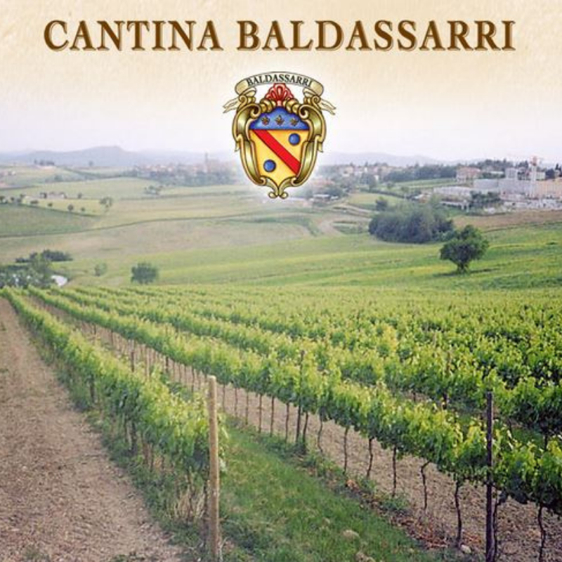 Una panoramica dell'assortimento di vini della tenuta Baldassarri in Umbria, composta da vino rosso, vino bianco, passito (vino liquoroso) e spumante, offerta da Vinum Divinum.