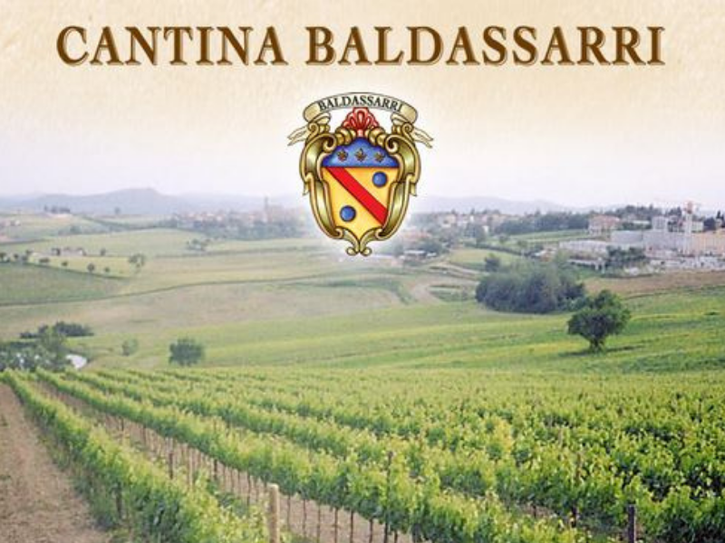 Una panoramica dell'assortimento di vini della tenuta Baldassarri dall'Umbria, composta da vino rosso, vino bianco, passito (vino liquoroso) e spumante, offerta da Vinum Divinum.