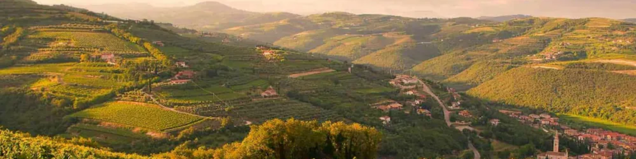 Karussellbilder mit einer Sicht auf die Weinberge von Borghetti aus der Vogelperspektive.
