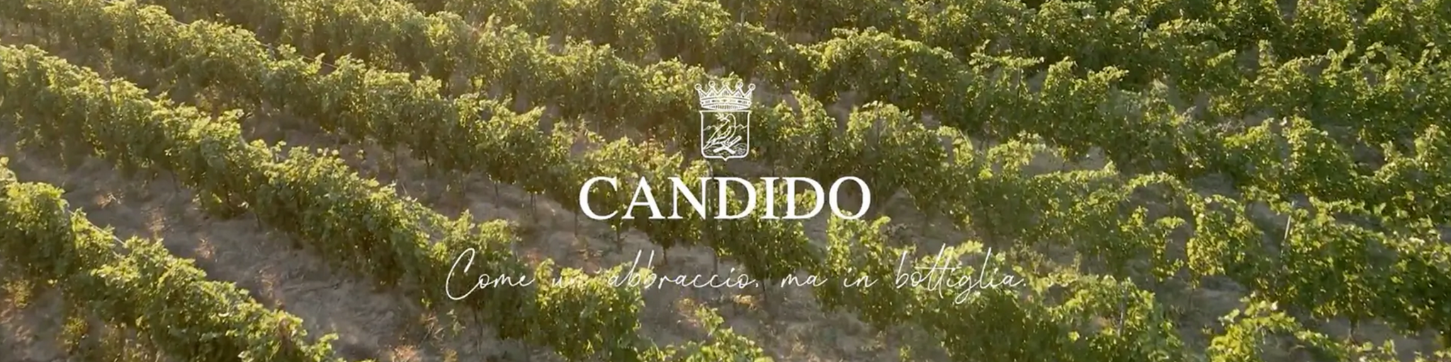 Karussellbild von Candido in Apulien.