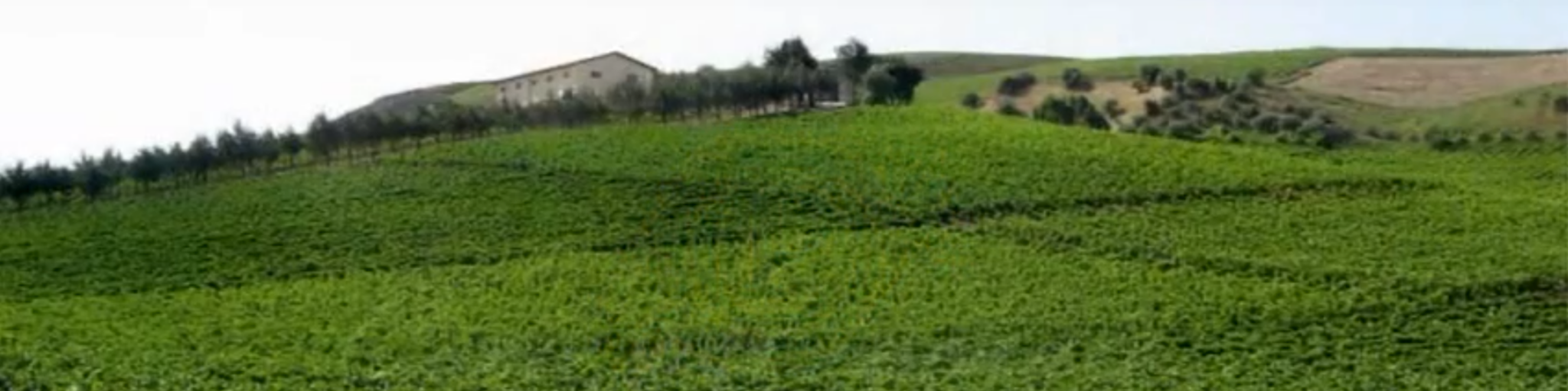 Karussellbild von Candido in Apulien.