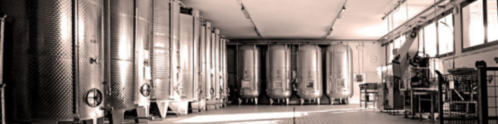 Immagine a carosello della cantina di Ciodet.