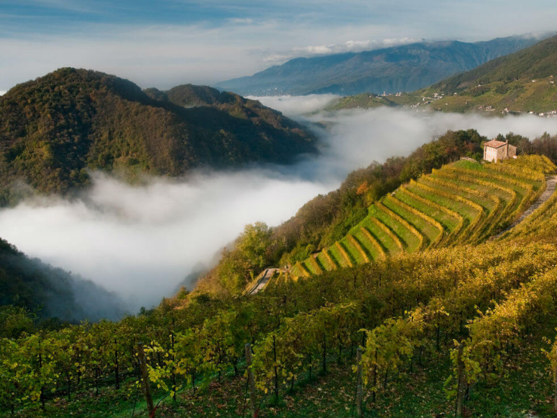 Das Sortiment des Weinguts Ciodet aus Venetien mit Prosecco aus Glera-Trauben.
