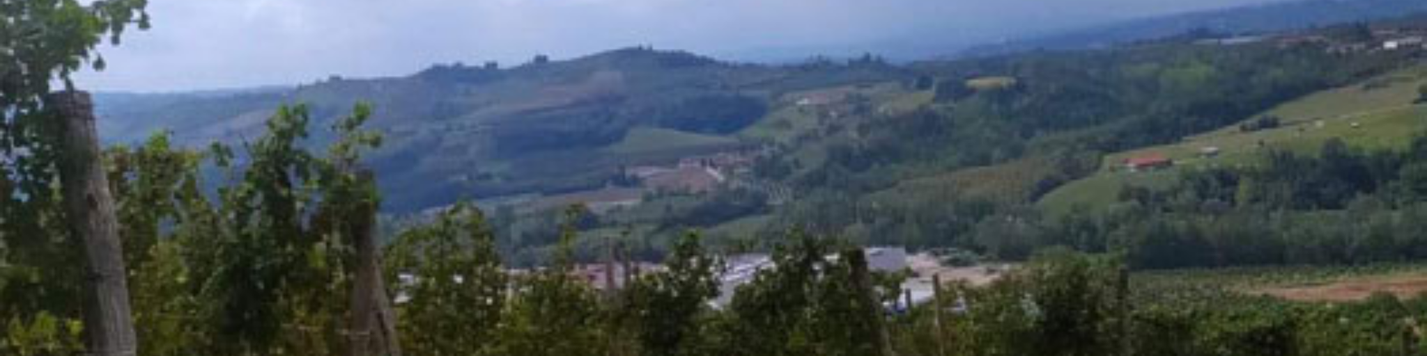 Ein Panorama-Karussellbild von La Fusina, das Einblicke in das Sortiment oder das Weingut gibt, erhältlich bei Vinum Divinum.