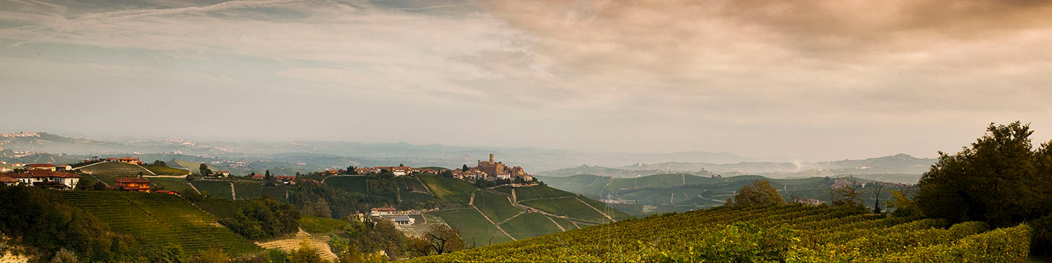 Ein Panorama-Karussellbild von La Fusina, das die Landschaft oder die Spezialitäten des Weinguts zeigt, erhältlich bei Vinum Divinum.