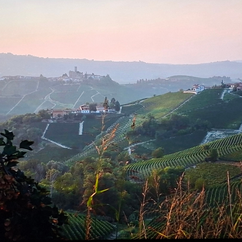 Eine stimmungsvolle Landschaftsaufnahme des Weinguts La Fusina im Piemont, das Rotwein, Weisswein, Rosewein und Schaumwein produziert, erhältlich bei Vinum Divinum.