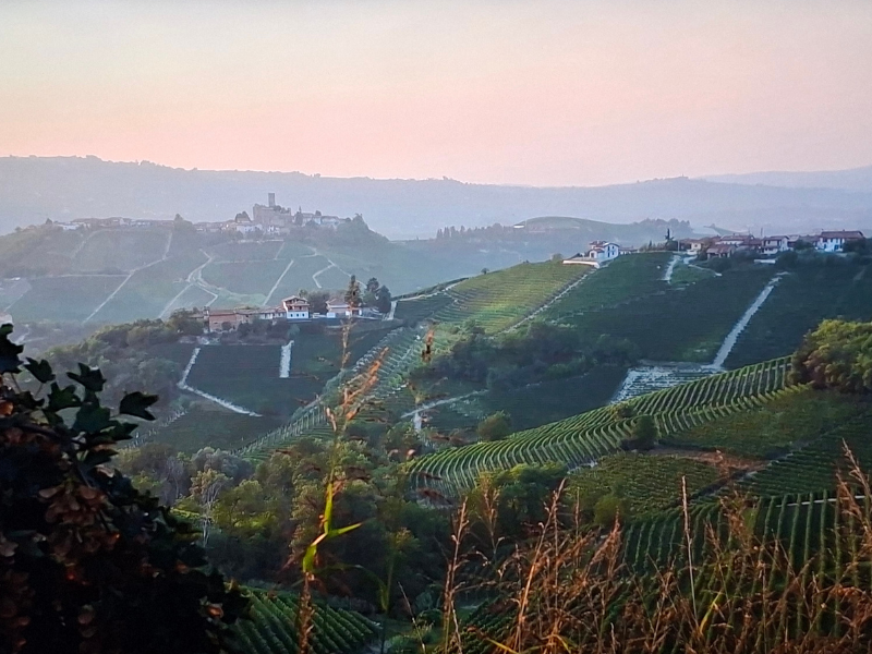 Un'immagine paesaggistica suggestiva della cantina La Fusina in Piemonte, che produce vino rosso, bianco, rosato e spumante, disponibile presso Vinum Divinum.