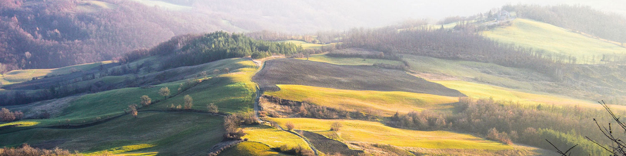 Un'immagine carosello Mussini con vista sul paesaggio.