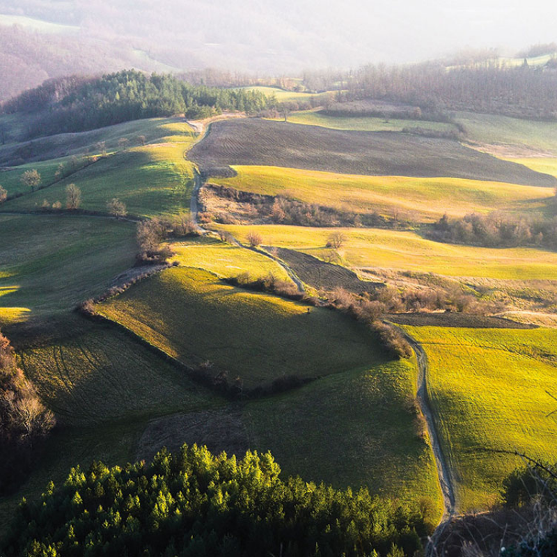 L'acetaia Mussini dell'Emilia-Romagna offre balsamico, condimenti e aceti con certificazioni Bio, IGP, DOC e DOCG, disponibile presso Vinum Divinum.