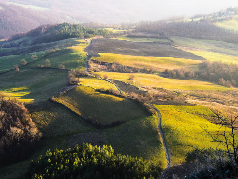 L'acetaia Mussini dell'Emilia-Romagna offre balsamico, condimenti e aceti con certificazioni Bio, IGP, DOC e DOCG, disponibili presso Vinum Divinum.