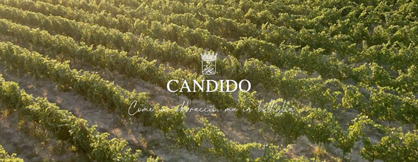 Candido Francesco Azienda Vinicola
