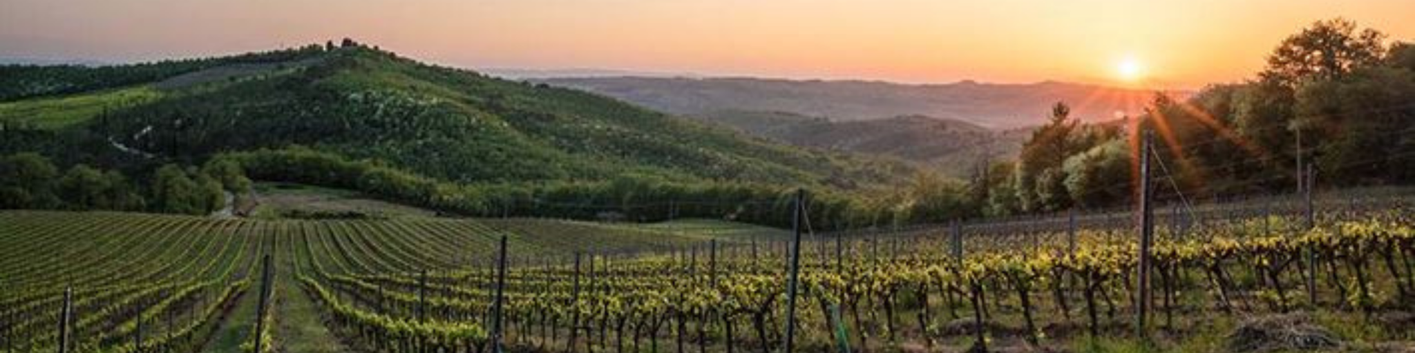 Abendstimmung auf dem Weingut Poggio al Sole in der Toskana.