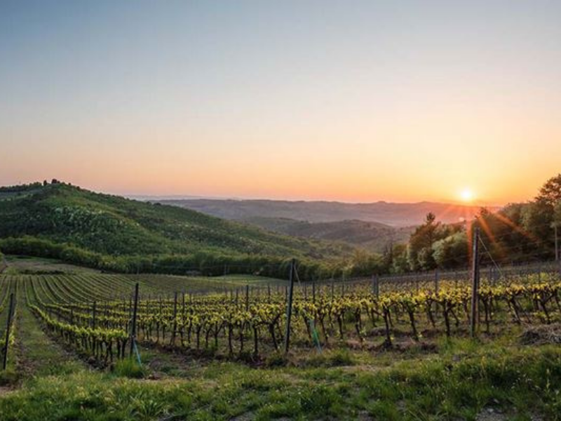 Atmosfera serale a Poggio al Sole della famiglia Davaz in Toscana.