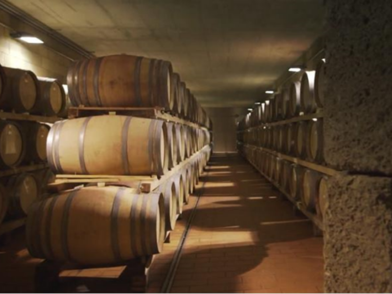 Der Weinkeller von Poggio al Sole der Familie Davaz in der Toskana mit diverse Holzfässer.