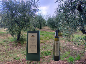 Fattoria del colle - Kaltgepresstes Olivenöl aus biologischem Anbau DOP