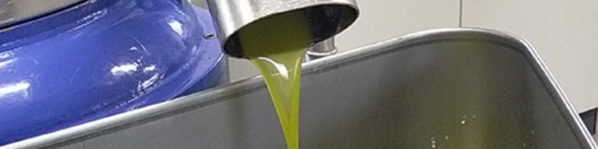 Karussellbilder der Produktion von Temperoni Olivenöl, die Einblicke in den Herstellungsprozess gewähren.