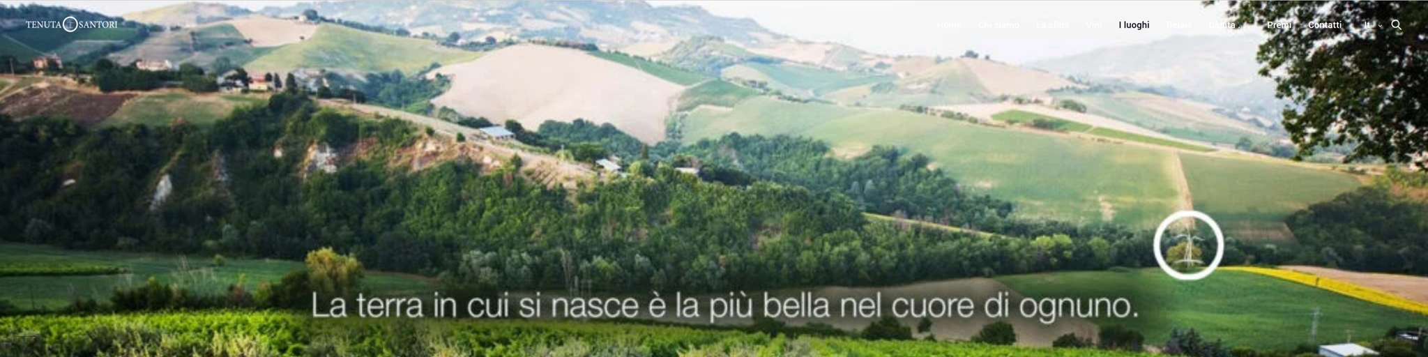 Un'immagine a carosello della Tenuta Santori con impressioni atmosferiche dell'azienda vinicola.