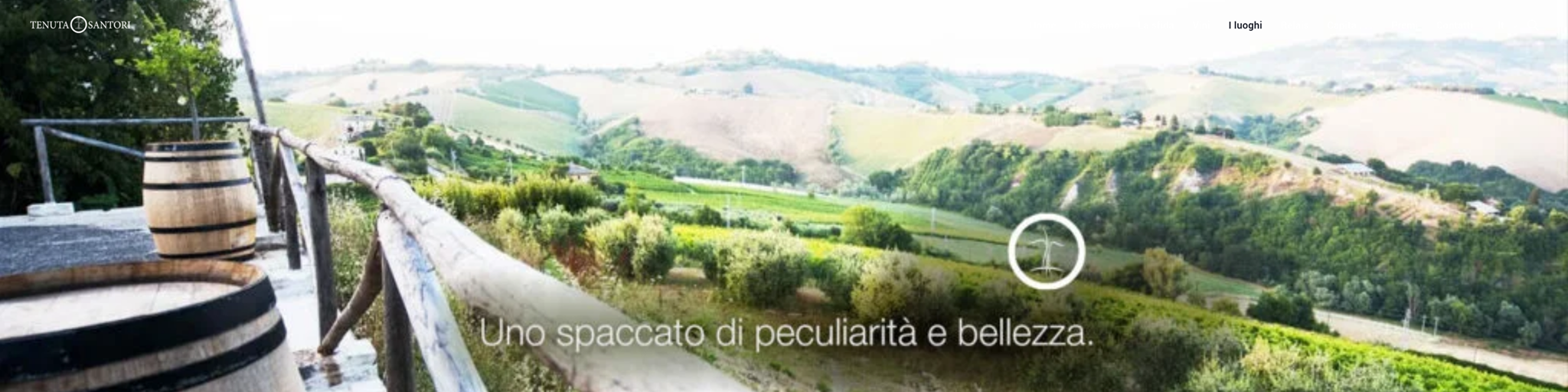 Un'immagine panoramica a carosello della Tenuta Santori, che trasmette le impressioni dell'azienda vinicola.