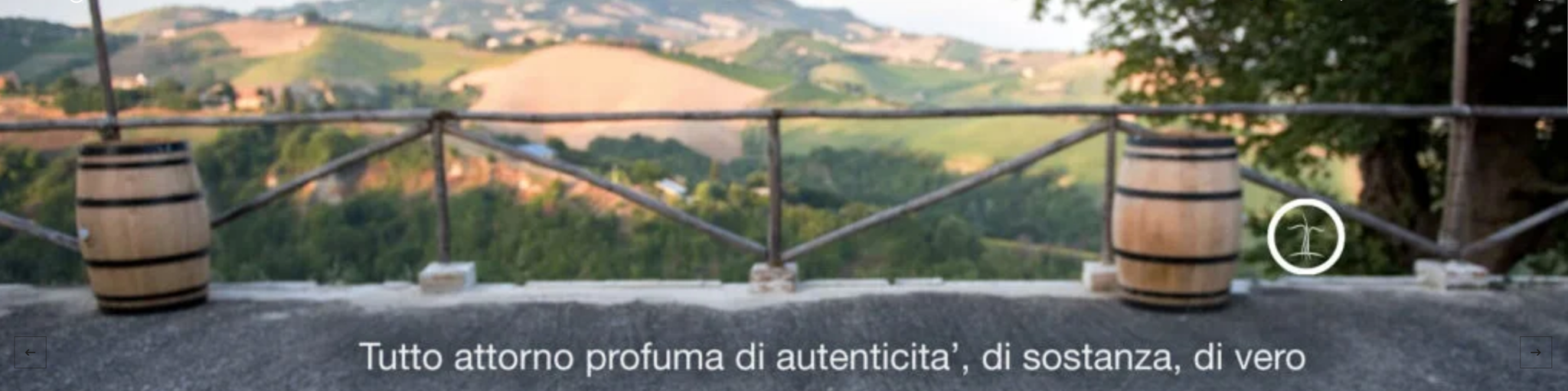 Un'immagine panoramica a carosello della Tenuta Santori con ulteriori impressioni dell'azienda vinicola.